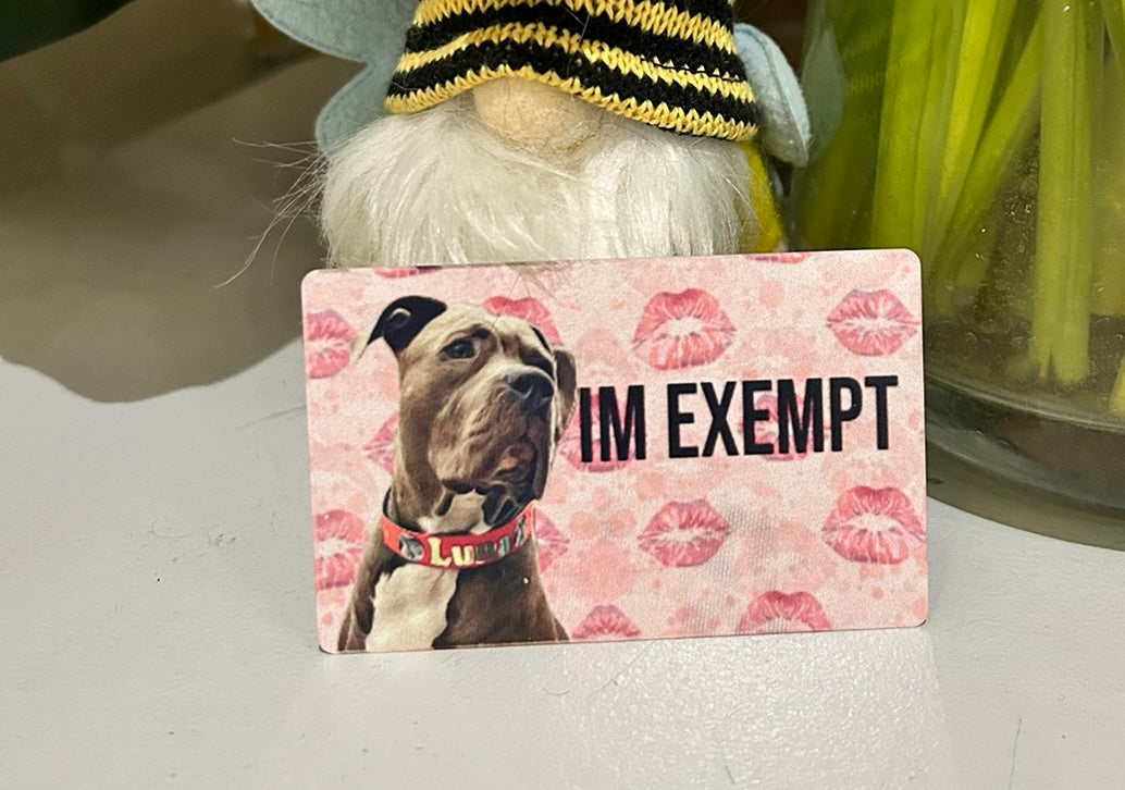 Exemption Dog ID Cards