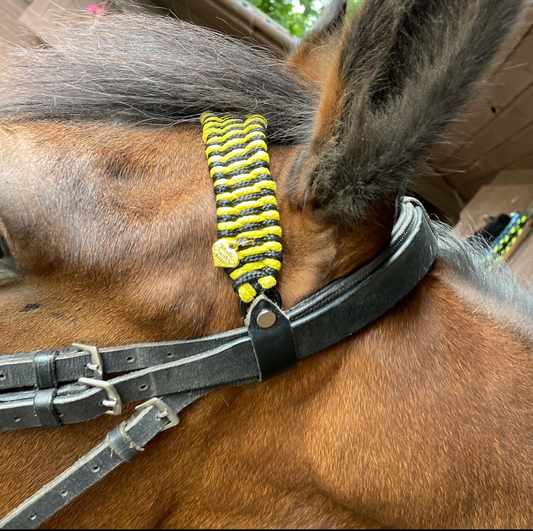 PQuine - Browband