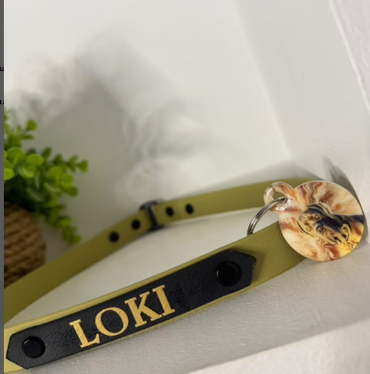 Name Plaque House Collar
