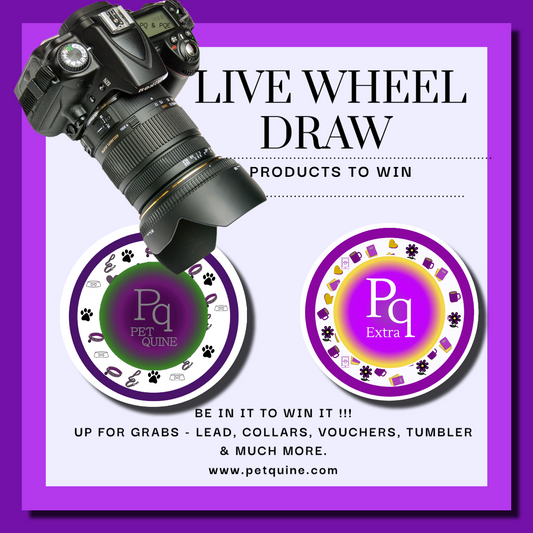 Live Wheel Draw